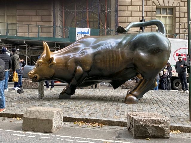 Urban Vibes NYC 🌆