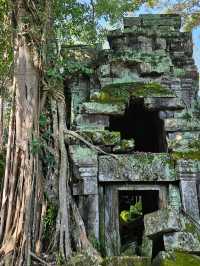 🎬 Explore the Iconic Tomb Raider Filming Site in Cambodia 🌿