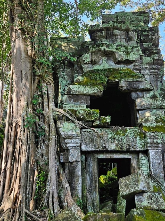 🎬 Explore the Iconic Tomb Raider Filming Site in Cambodia 🌿 🎬 Explore the Iconic Tomb Raider Filming Site in Cambodia 🌿