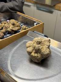 Magical morning in Alba hunting truffle