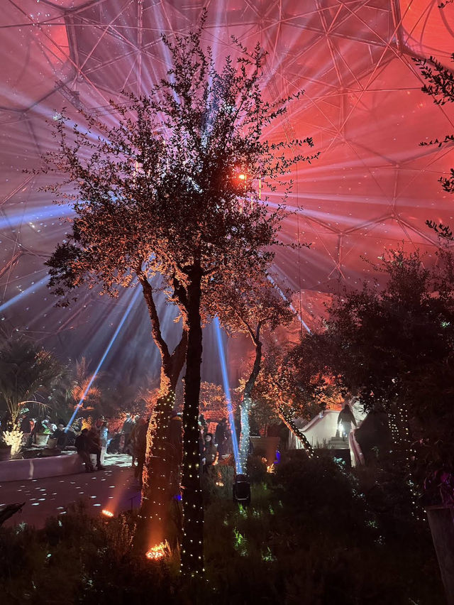 A magical introduction to a world of Christmas lights 🎄✨