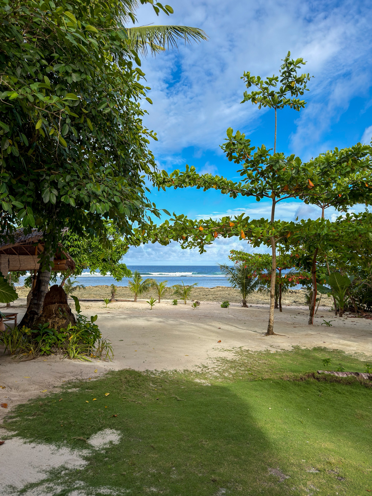 Mengenal Siargao! 。