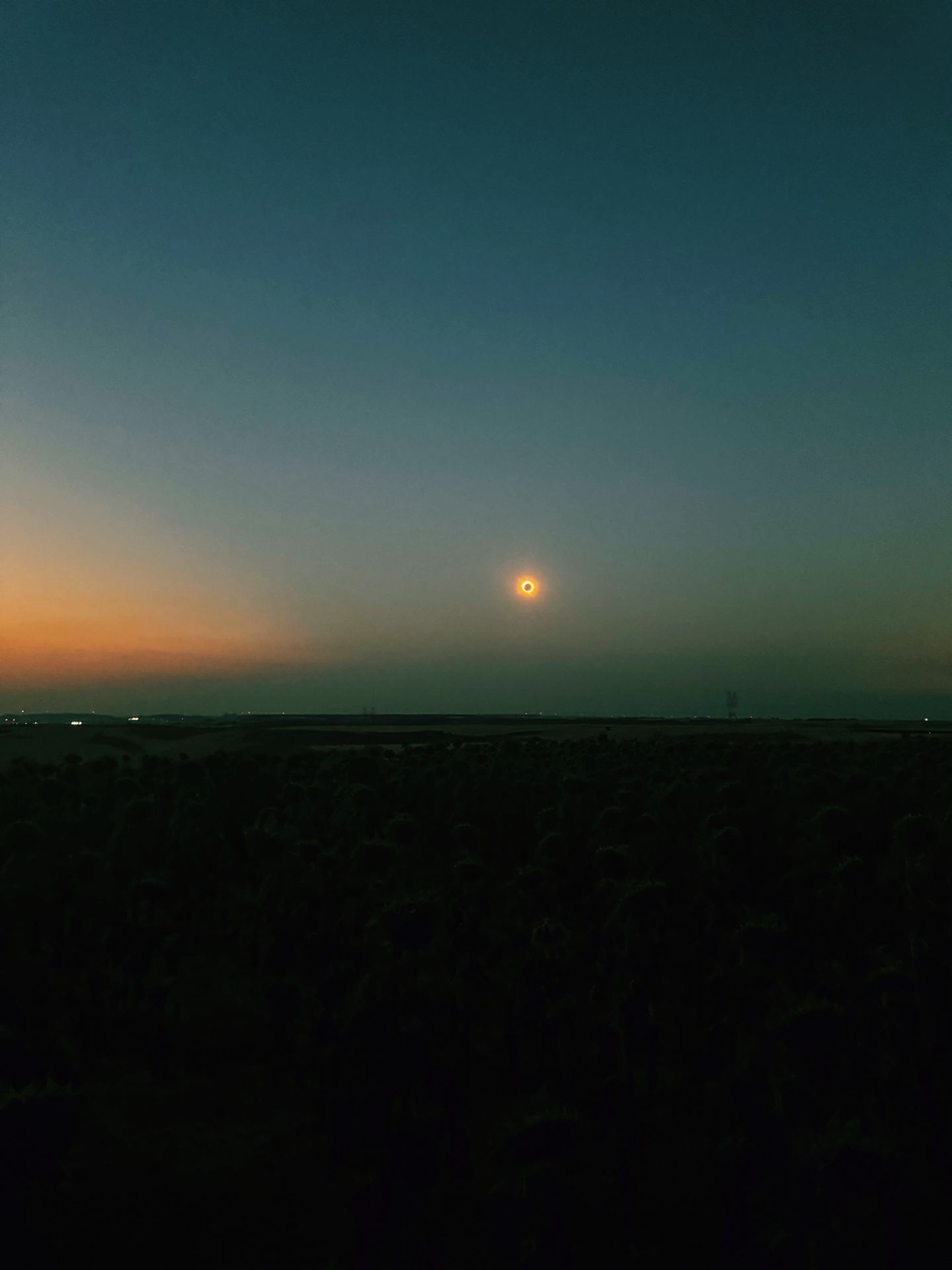 The Most Surreal Sunset I’ve Seen in Burgos: A Total Eclipse Over Sunflowers 🌻🌑✨