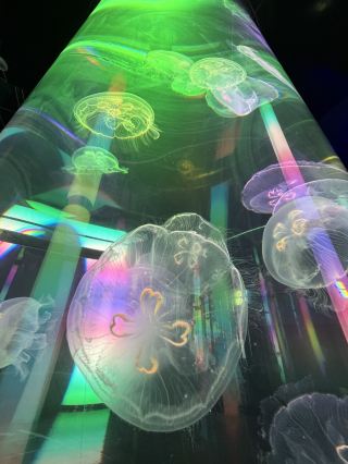 沖縄の主要スポットで並ばずにチケット購入！快適＆超お得な旅