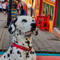 Guatape: Where Colors and Culture Collide 🎨