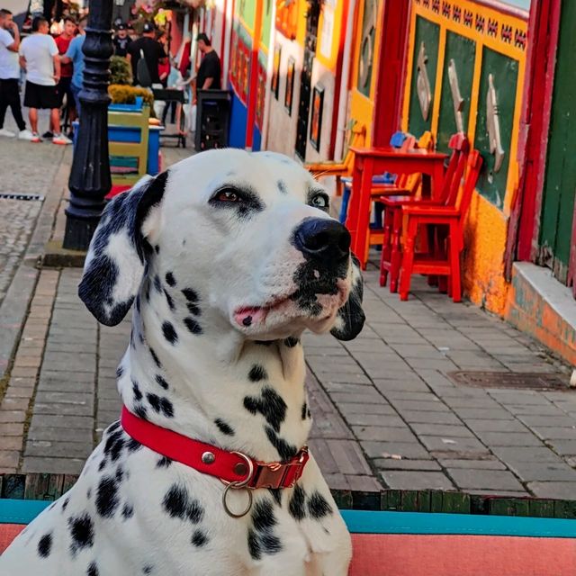 Guatape: Where Colors and Culture Collide 🎨