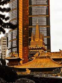 Discovering the Serenity of Jing'an Temple❤️