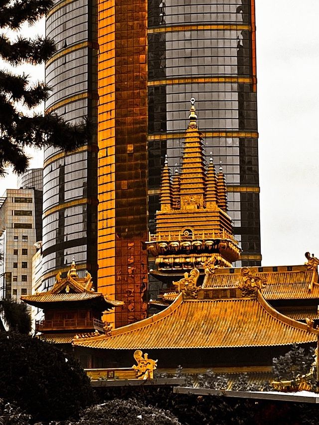 Discovering the Serenity of Jing'an Temple❤️ Discovering the Serenity of Jing'an Temple❤️