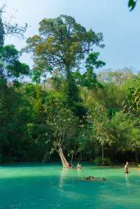 Laos Travel | Luang Prabang, please leave half a day to visit Kuang Si Waterfall.