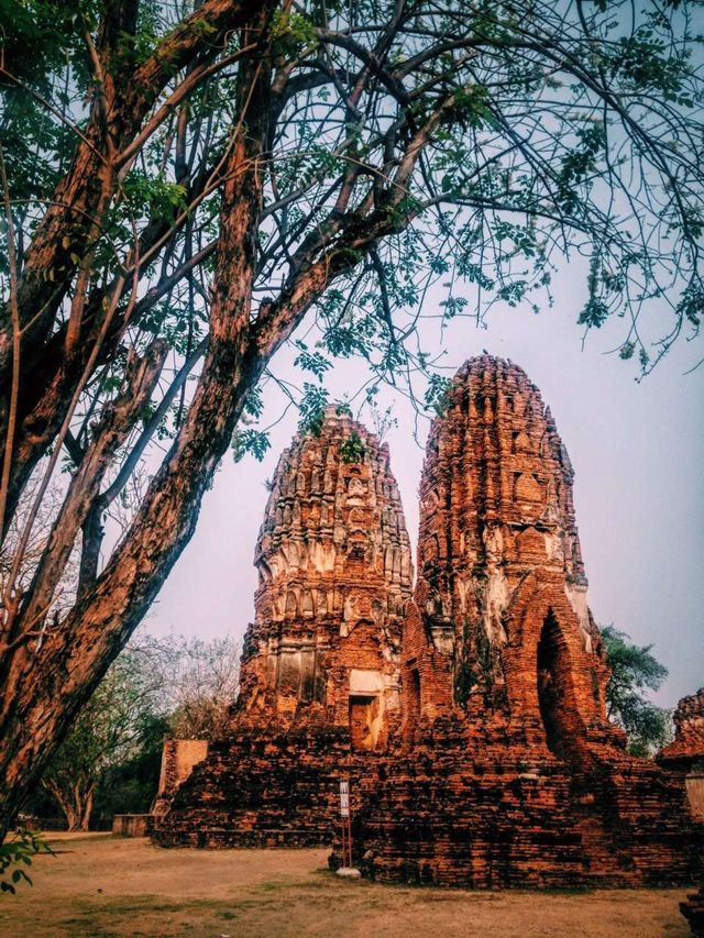 Ayutthaya: Amidst the hustle and bustle of the world, as the sun sets and the journey comes to an end, the glory of a hundred years is but a fleeting cloud of smoke.