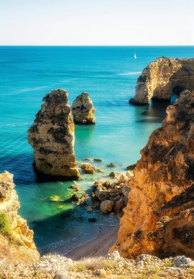 "Cape Cod is also known as Codfish Point"??!