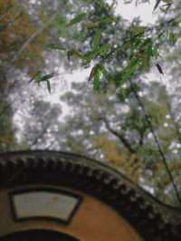 Henan Pingdingshan | Sansu Garden Scenic Area