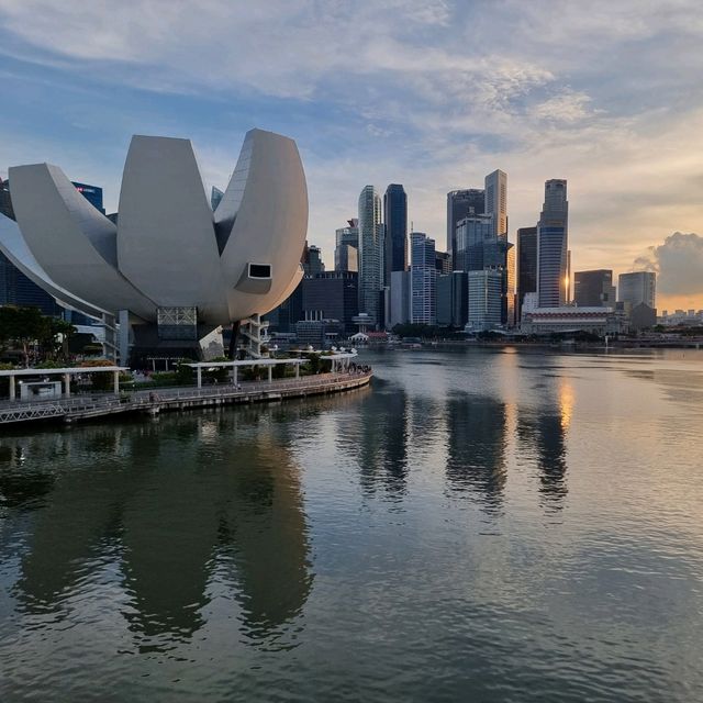 Jaw on the floor after Singapore 