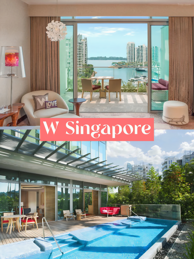 4 Luxurious Hotels in Sentosa Island 🤩