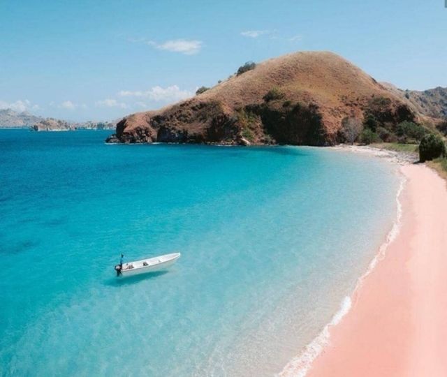 科莫多島旅遊必看攻略!! 科莫多島旅遊必看攻略!!