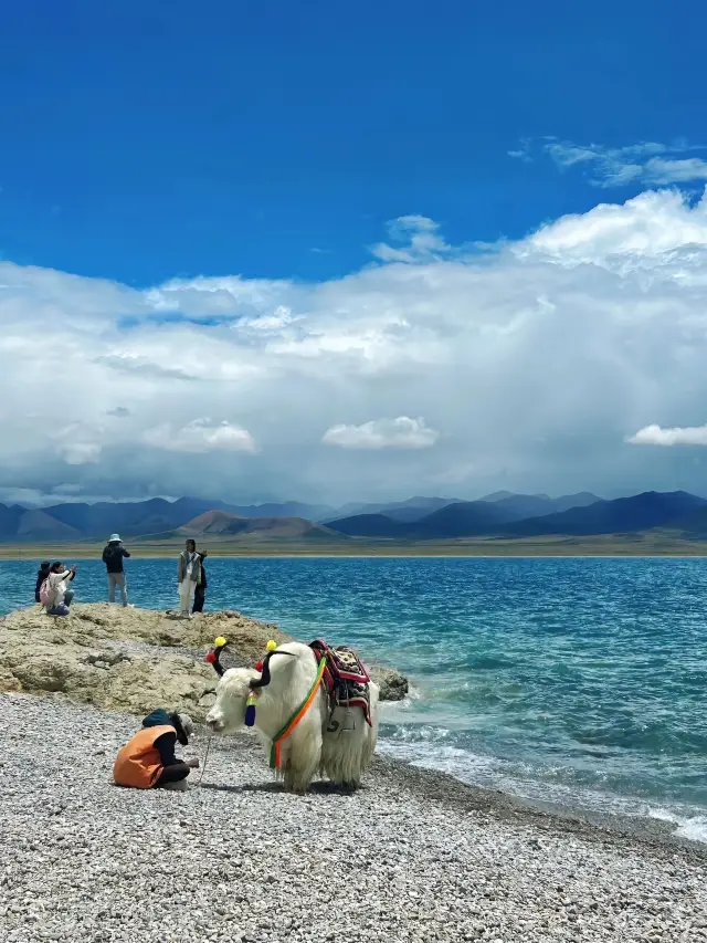 Longing for Tibet | The urge is even stronger than after a breakup