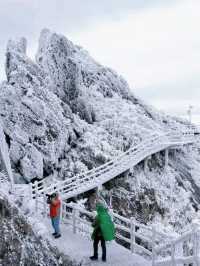 本週下雪不出省！廣東金子山迎來第一場雪