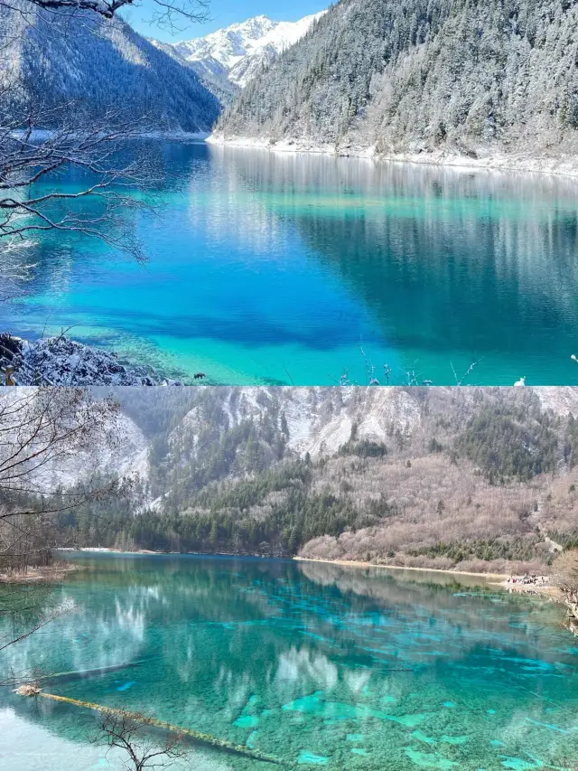 How beautiful Jiuzhaigou is in winter, only those who have been there would know