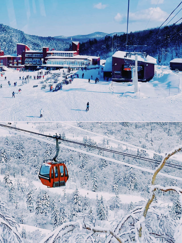 冬季北海道之旅，玩轉札幌國際滑雪場