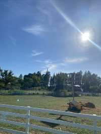上海遛娃好去處|炎炎夏日來田田果園做農場主人