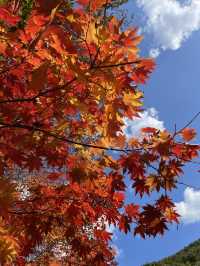 《關門山生態大峽谷景區》賞楓好去處