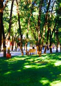 北京賞花地推薦|地壇公園的玉蘭花好美!