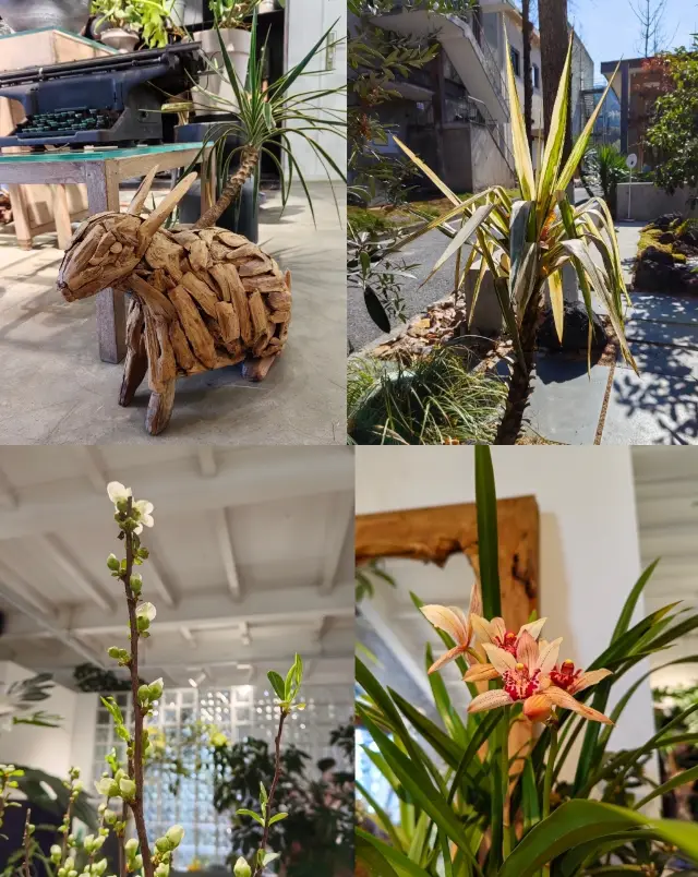 A hidden gem of a flower shop, bringing the tropical rainforest home