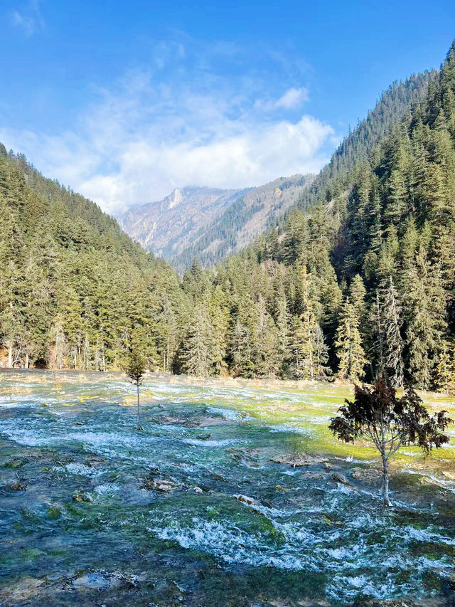 冬天去九寨溝真的太香了，人少景美