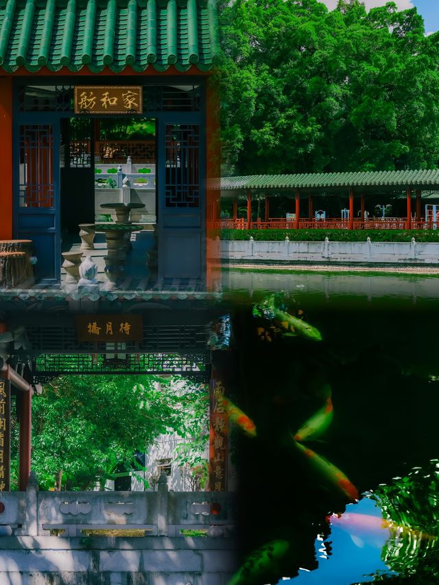深圳“小蘇州”，藏在市中心的隱世園林！