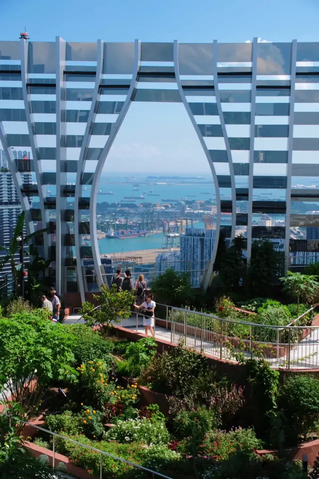Singapore| CapitaSpring Sky Garden in downtown Singapore