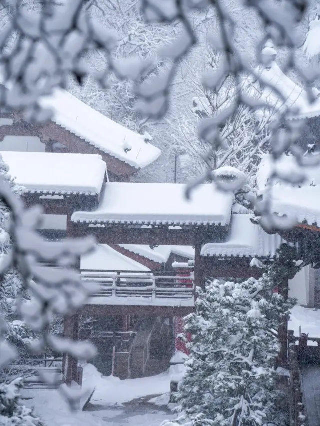 2024 New Year's Eve Temple Blessing New Year's Eight Major Temples Blessing Guide