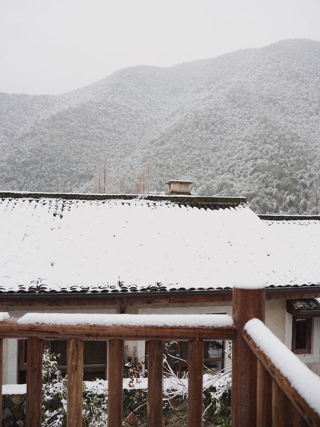 莫干山侘寂風民宿｜雪落山林隱士居