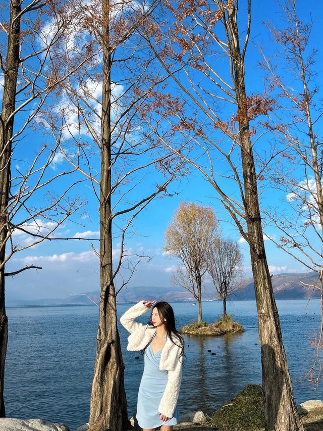 雲南旅遊攻略！！！