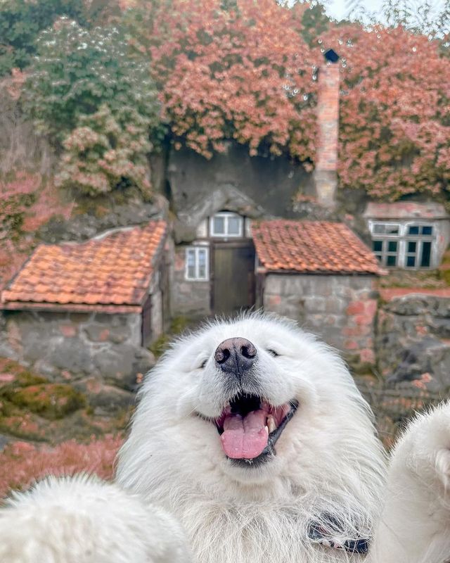 Selfie time 🤳😁 Capturing the beauty of our autumn day trip to the breathtaking Harz mountains