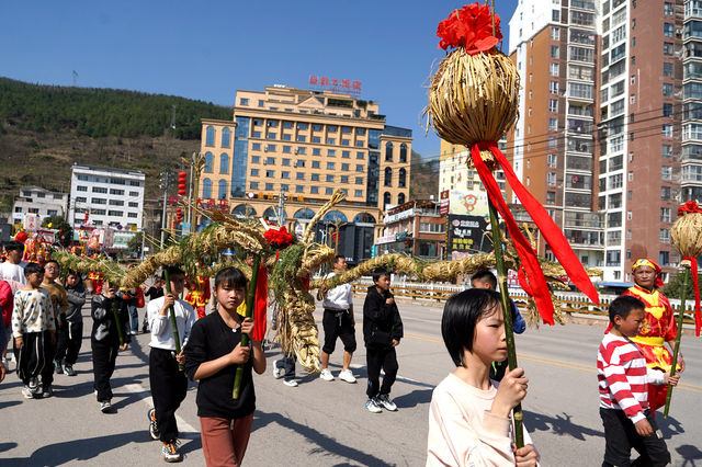 百龍鬧春，熱鬧非凡！貴州黃平縣數白條龍燈舉行巡演