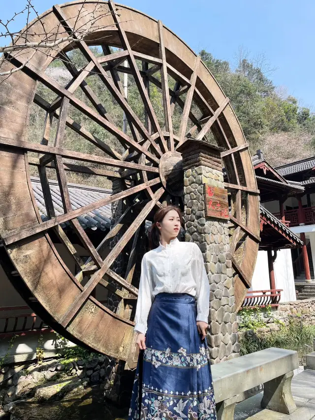 Hangzhou Cherry Blossom Viewing Holy Land | A great place to absorb oxygen in the forest on weekends!