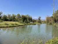 開遠濕地公園——養老休閒的絕佳去處之一