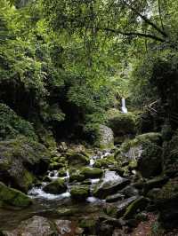 青城後山徒步吸氧之旅