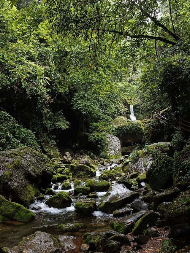 青城後山徒步吸氧之旅