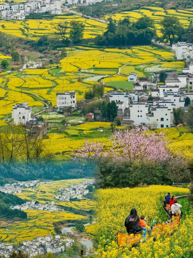 The splendor of the ancient village's rapeseed flowers recommended by 'National Geographic' is truly breathtaking