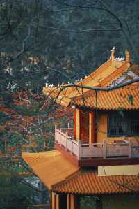 春和景明不僅是禪意遇見寧靜角落 廈門石室禪院