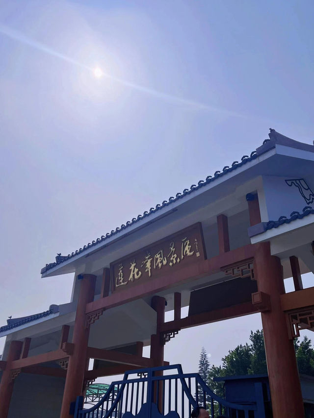 打卡蓮花峰，看海洋海洋館