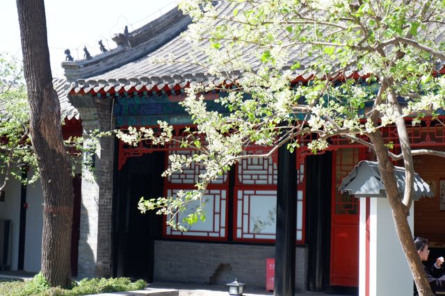 京郊城市citywalk｜那個煙火氣息的保定市，城市悠閒漫步