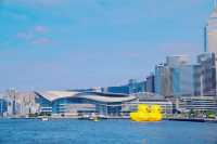 香港新展|大黃鴨在維港游泳嬉戲辣