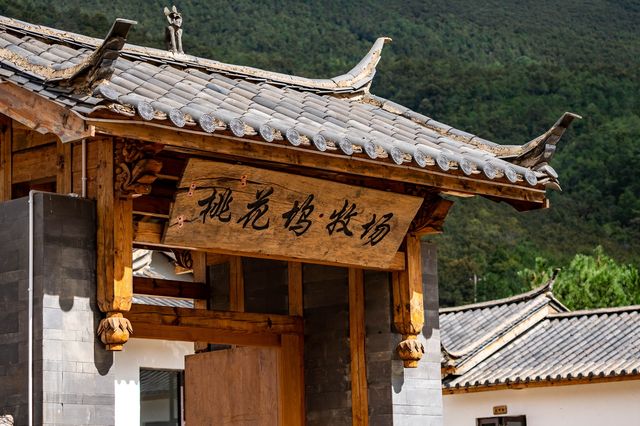 玉龍雪山下，神的自留地 ▏桃花塢牧場