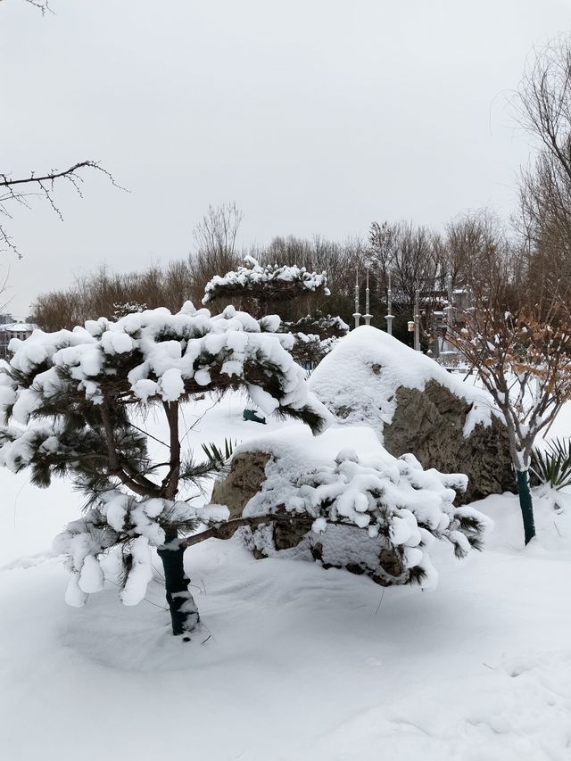 雪趣園博園