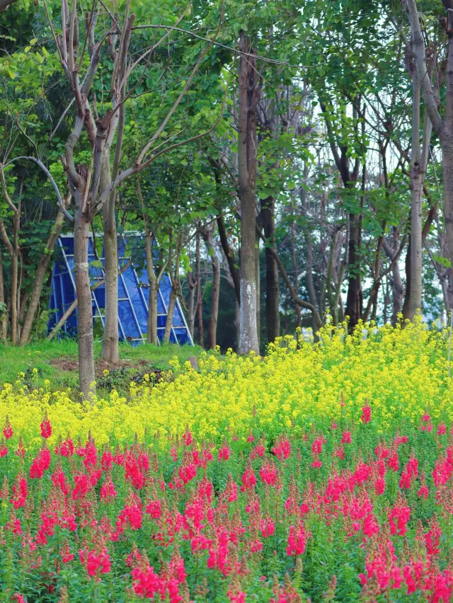 Chongqing's Most Beautiful Garden (with Guide)