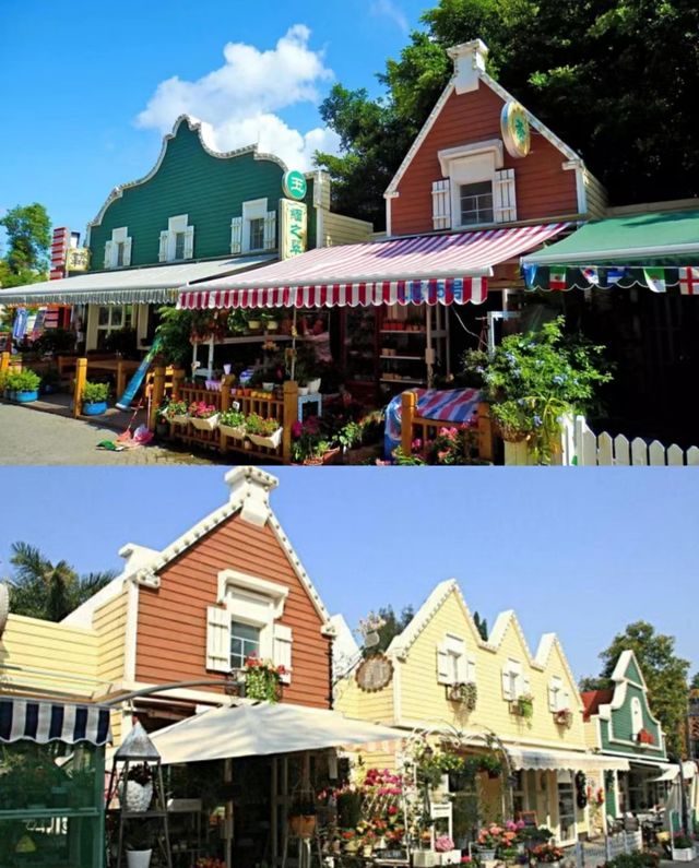 荷蘭花卉小鎮|一個值得打卡的浪漫基地