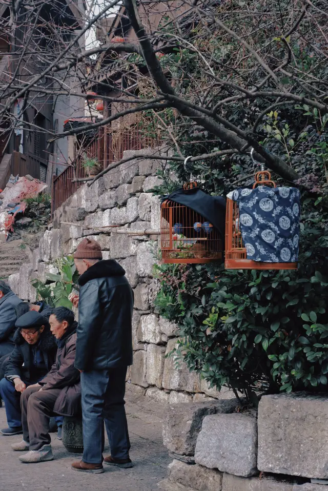 Surrounding Guiyang | A niche ancient town with a "human touch"