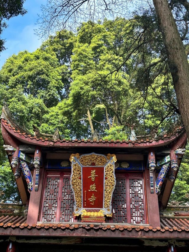 成都周邊1h直達，輕徒步+齋飯+喝茶